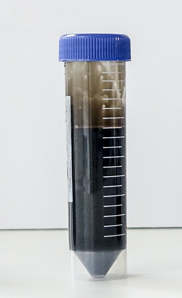 Цвет моторного масла на щупе - отличия нормального от отработанного