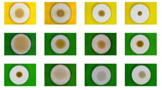 Цвет моторного масла на щупе - отличия нормального от отработанного
