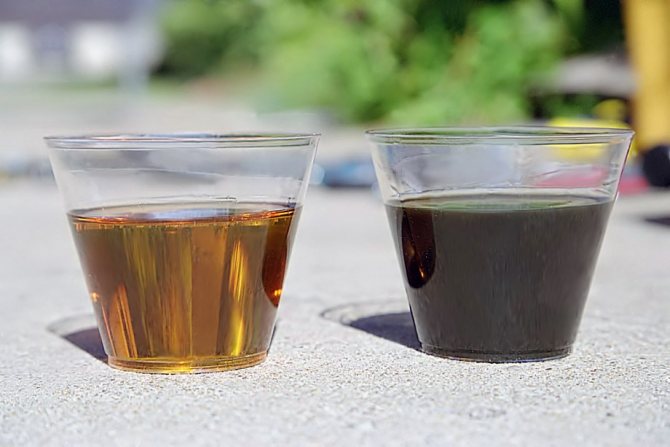 Какое выбрать трансмиссионное масло для Форд Фокус 2