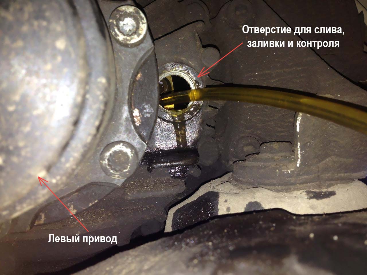 Проверка масла на Фольцваген passat