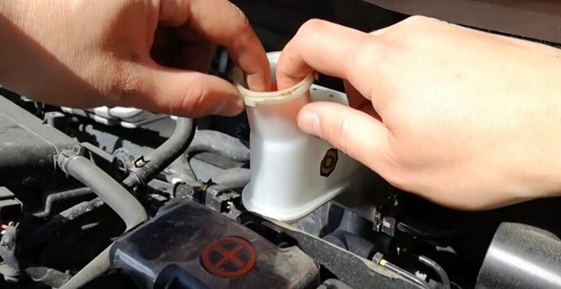 Изъятие сеточки