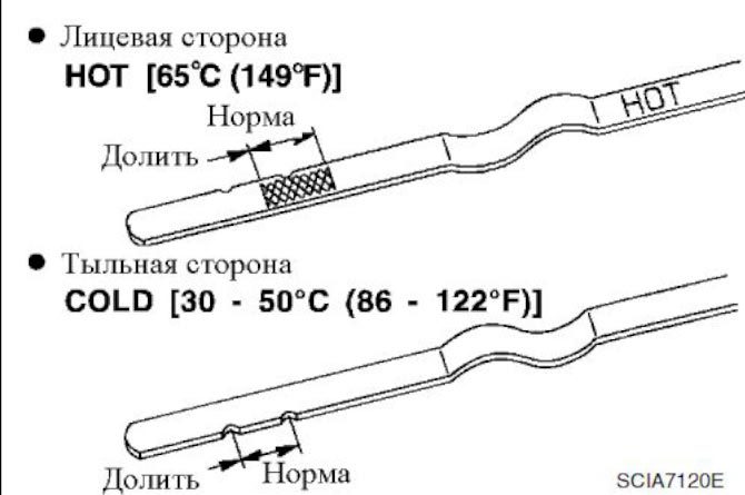Уровни для проверки масла в акпп