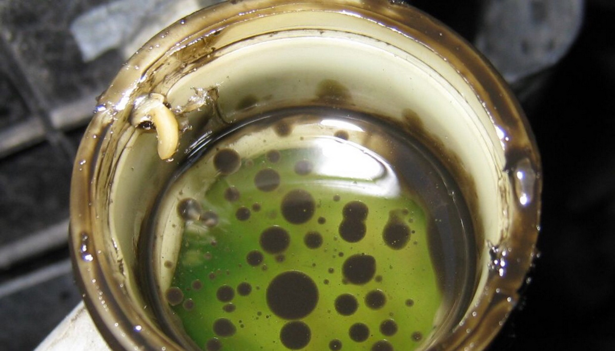 Проверка двигателя