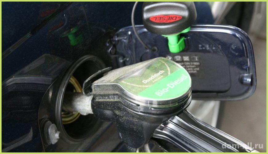 Основные разновидности