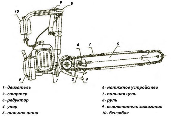 Соотношение бензина и масла для бензопилы дружба