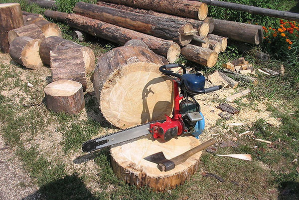 Соотношение бензина и масла для бензопилы дружба